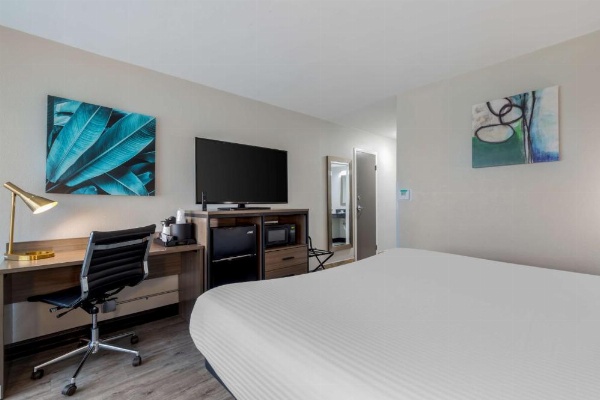 Best Western Corpus Christi Airport Hotel image 14